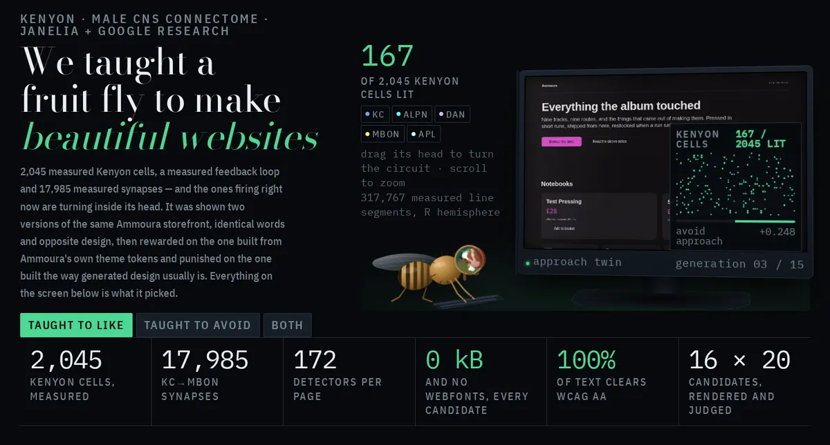 I Started Training a Fruit Fly to Build Websites